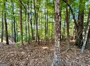 0.55 Pine Ridge Rd, Ellijay, GA 30536