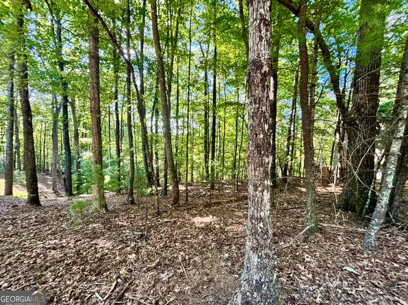 0.55 Pine Ridge Rd, Ellijay, GA 30536