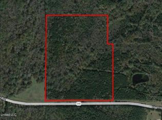 64.2 Ac Hwy #540, Braxton, MS 39044