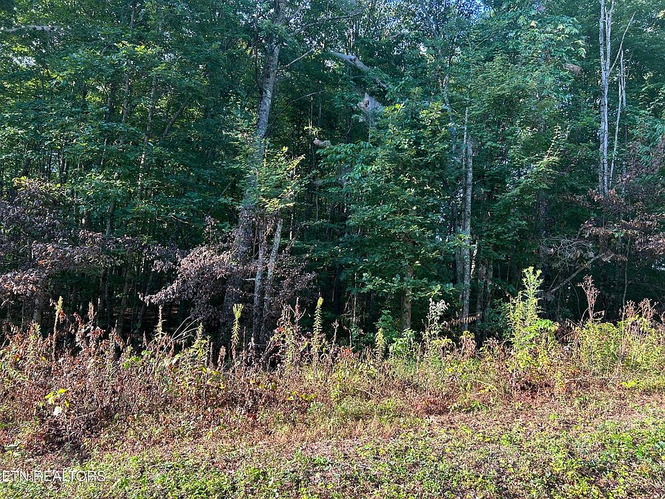 2nd image of Panther Branch Rd
