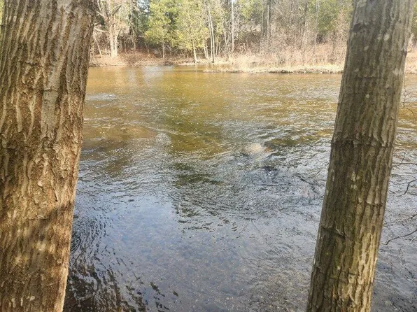 V/l N Meadowbrook Rd Lot 42, White Cloud, MI 49349