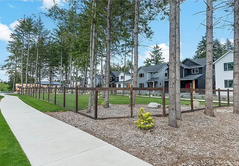Dog Park