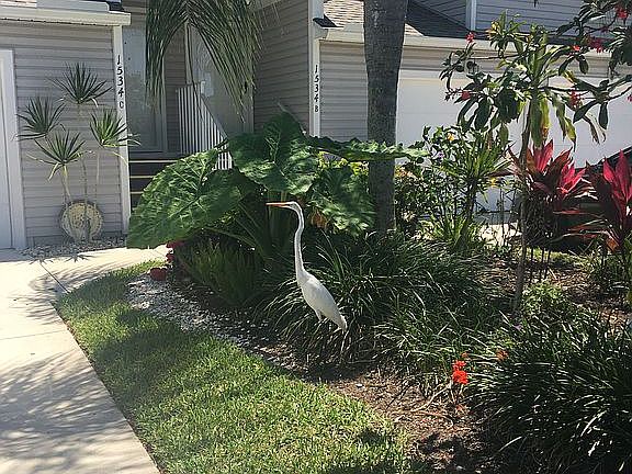 Gardening!!