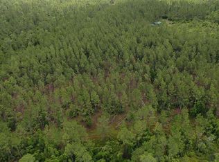 0 SE McCray Rd, Mayo, FL 32066