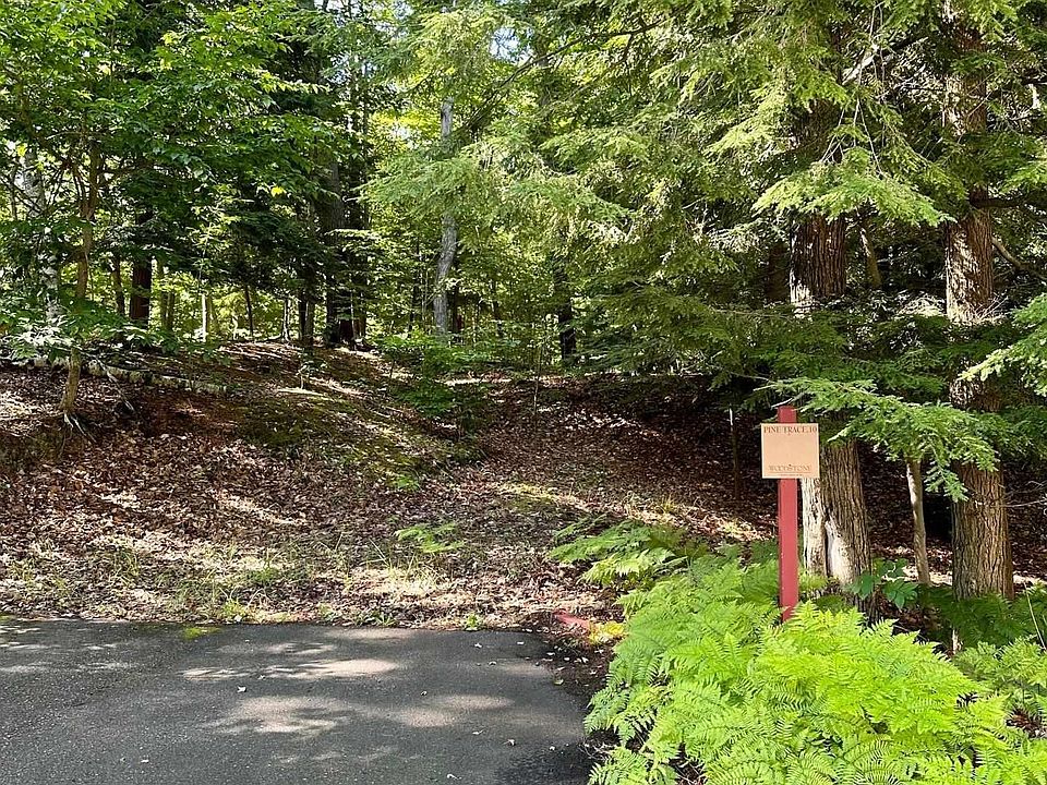 10 Pine Trce, Glen Arbor, MI 49636 MLS 1914638 Zillow