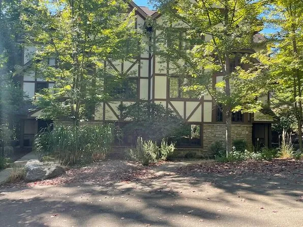 1150 Alpine Village Dr, Harbor Springs, MI 49740