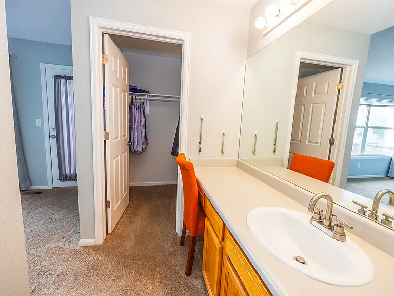 bathroom counter and closet