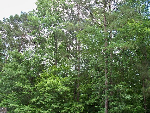 5th image of 1390 Northwoods Dr