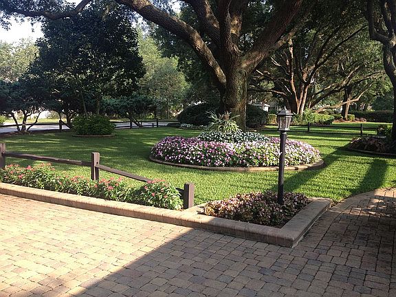View from Driveway