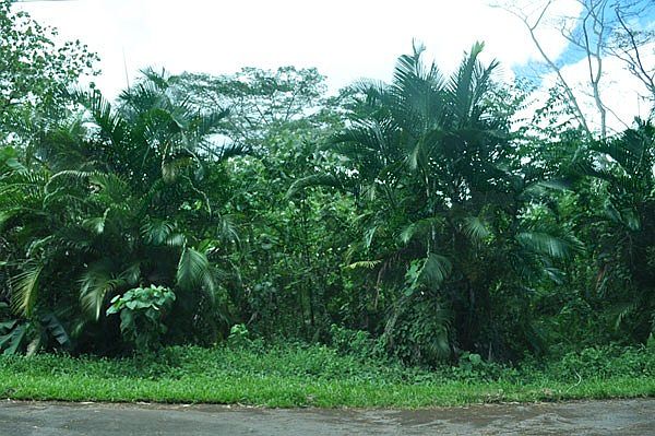 1st image of Wehelauniu St Lot 155