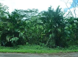 Wehelauniu St LOT 155, Pahoa, HI 96778