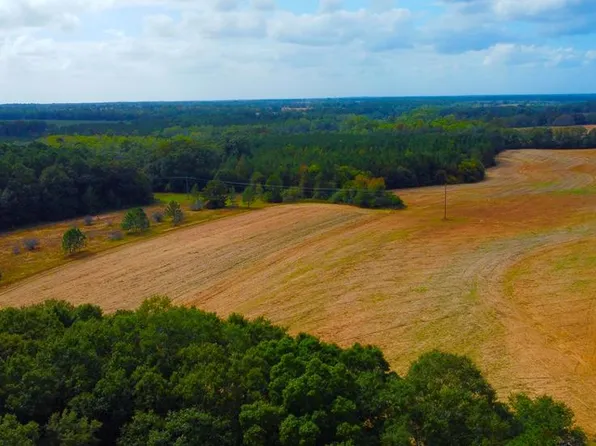 0 County Road 33, Headland, AL 36345