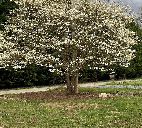 44th image of this home