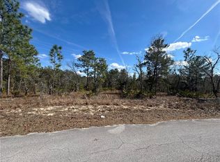 14 Smilax Ct S, Homosassa, FL 34446