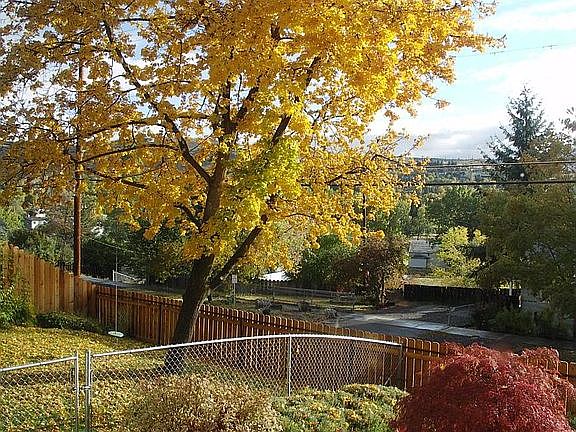Mature landscaping and view