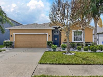12113 ECHO BASIN COVE, Riverview, FL, 33579