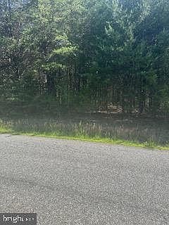 5th image of 13615 Black Meadow Rd