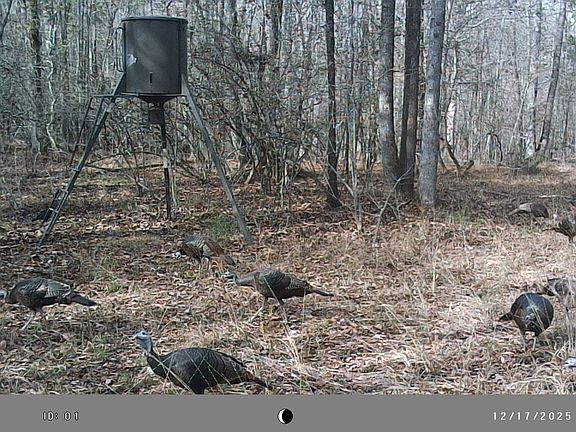 5th image of 2486 Hulmes Chapel Rd