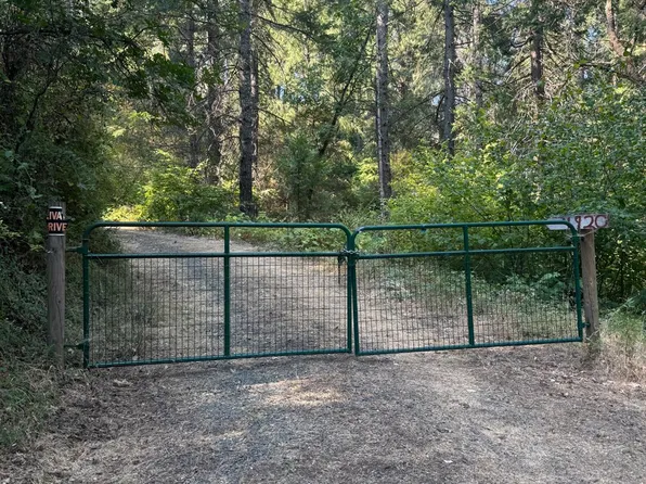 4920 Arctic Ln, Grizzly Flats, CA 95636