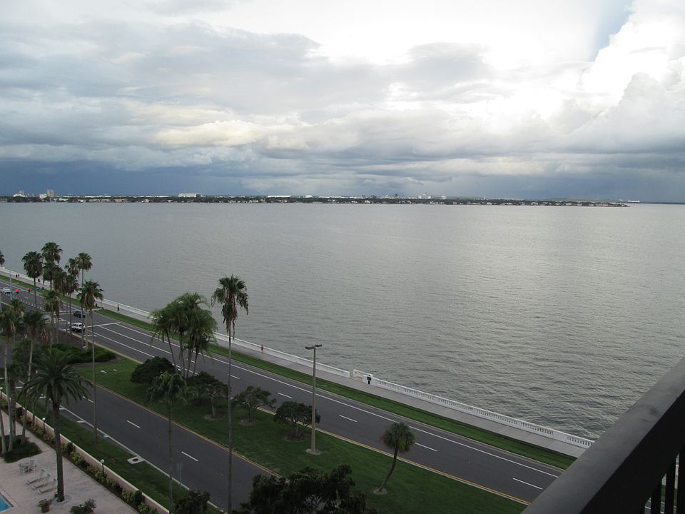 2nd image of 2413 Bayshore Blvd Unit 1005