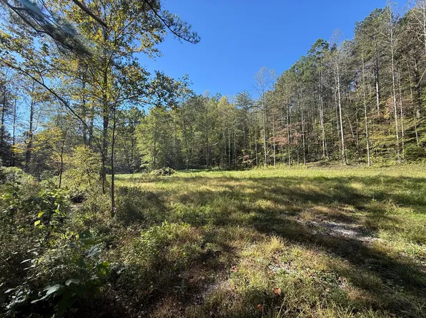 9999 Reed Branch Rd, Manchester, KY 40962