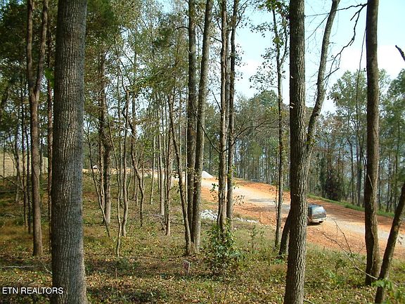 4th image of E Shore Dr