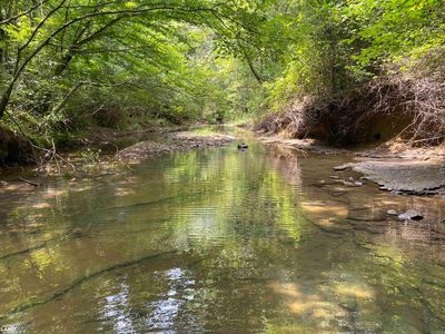 360 Long Ln, Bee Branch, AR, 72013