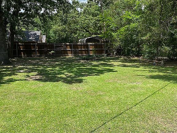 Mature backyard oaks.