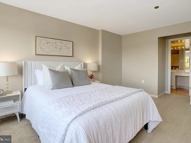 1301 N Courthouse Rd #1805 — Photo 23