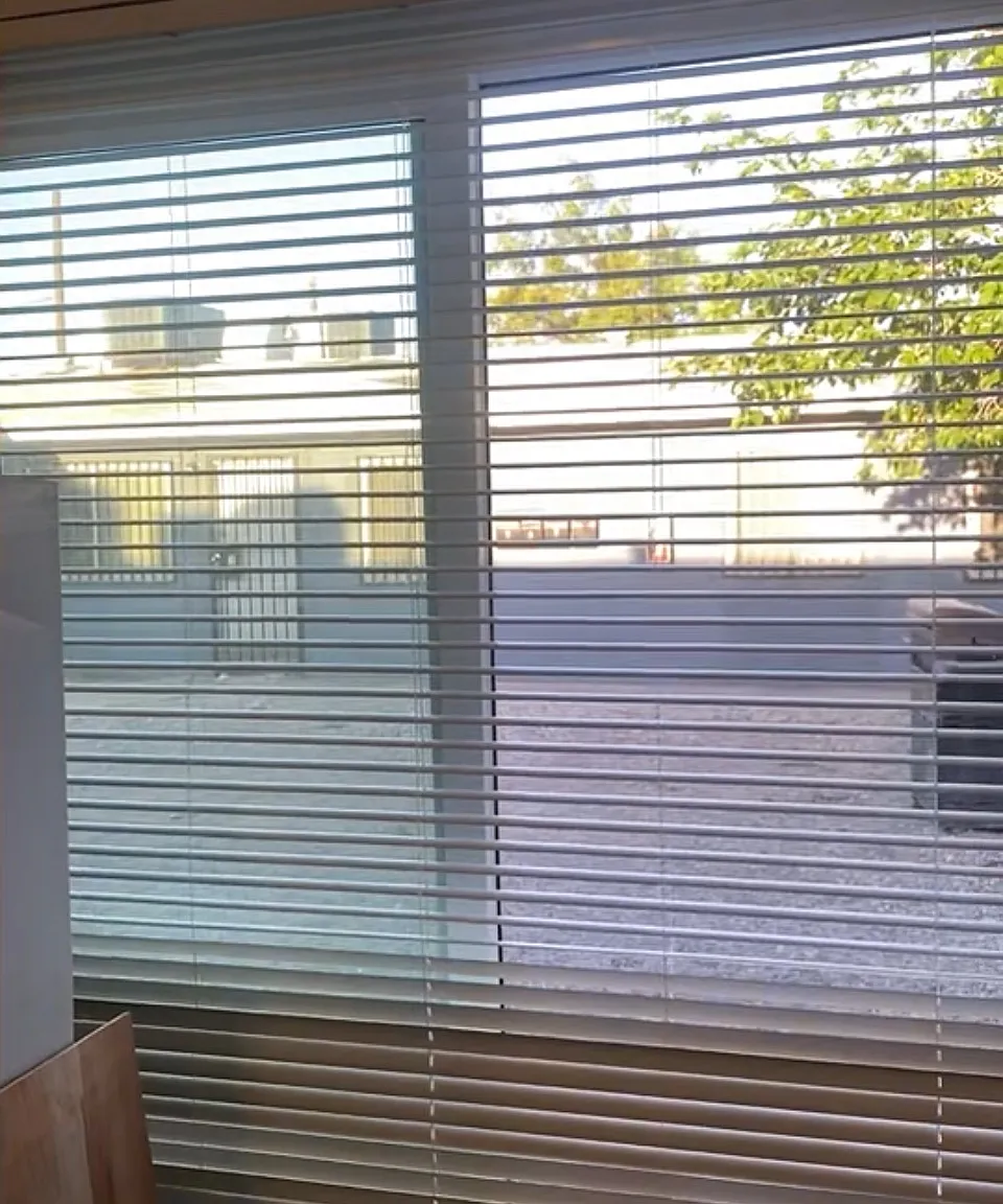 1 bed, 650 sqft, $800 — Photo 1