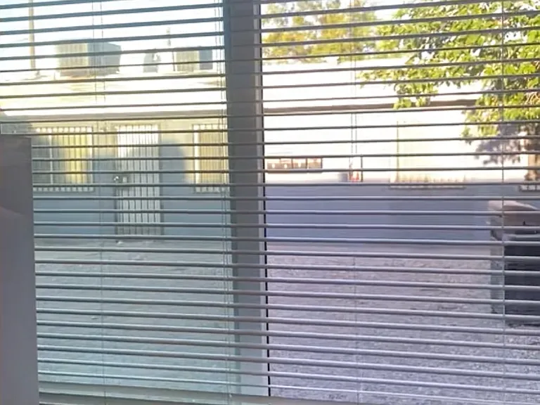 Living room window
