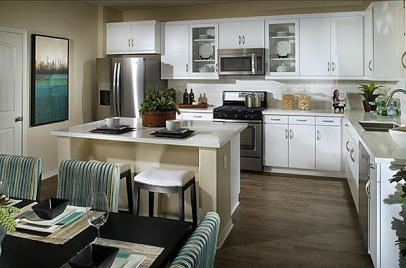 designer kitchen