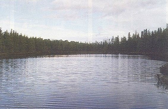 3rd image of 16540 Scenic S