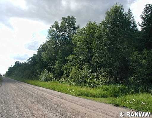 2nd image of W232 South Fork Road