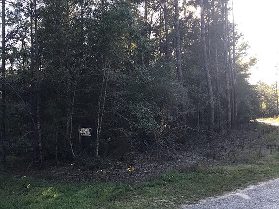 4044 Pine Cone Wooded