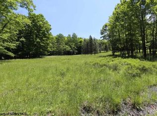 28 Cabin Mountain Rd, Davis, WV 26260