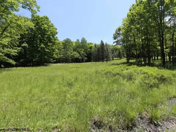 28 Cabin Mountain Rd, Davis, WV 26260