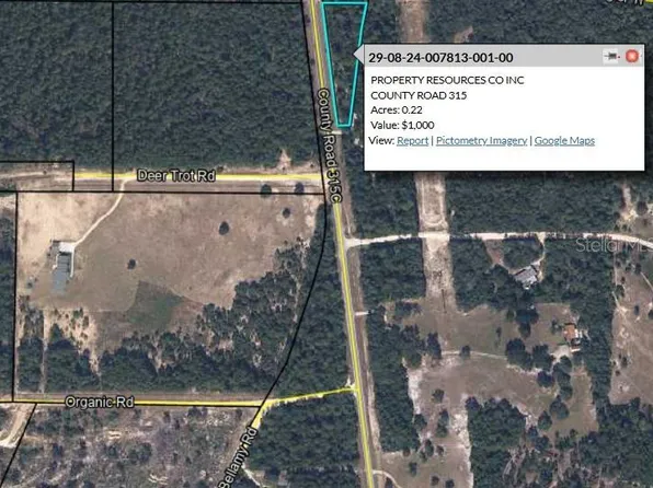 COUNTY ROAD 315, MELROSE, FL 32666