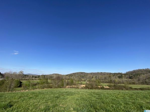 6555 State Highway 174 TRACT 6, Springville, AL 35146
