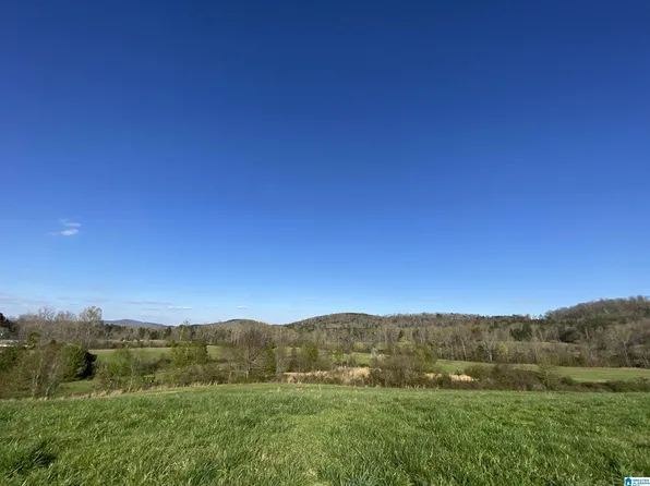 6555 State Highway 174 Tract 6, Springville, AL 35146