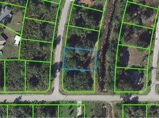 614 Coolidge Ave NE, Lake Placid, FL 33852