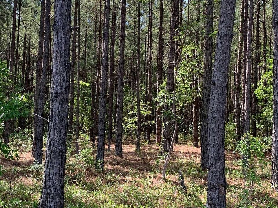 2nd image of 0 Pollett Rd #29