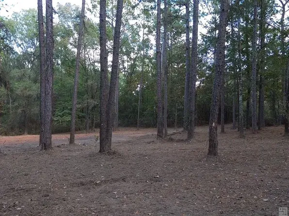 LOT 32 Back Ridge Rd Lot 32, Amite, LA 70422