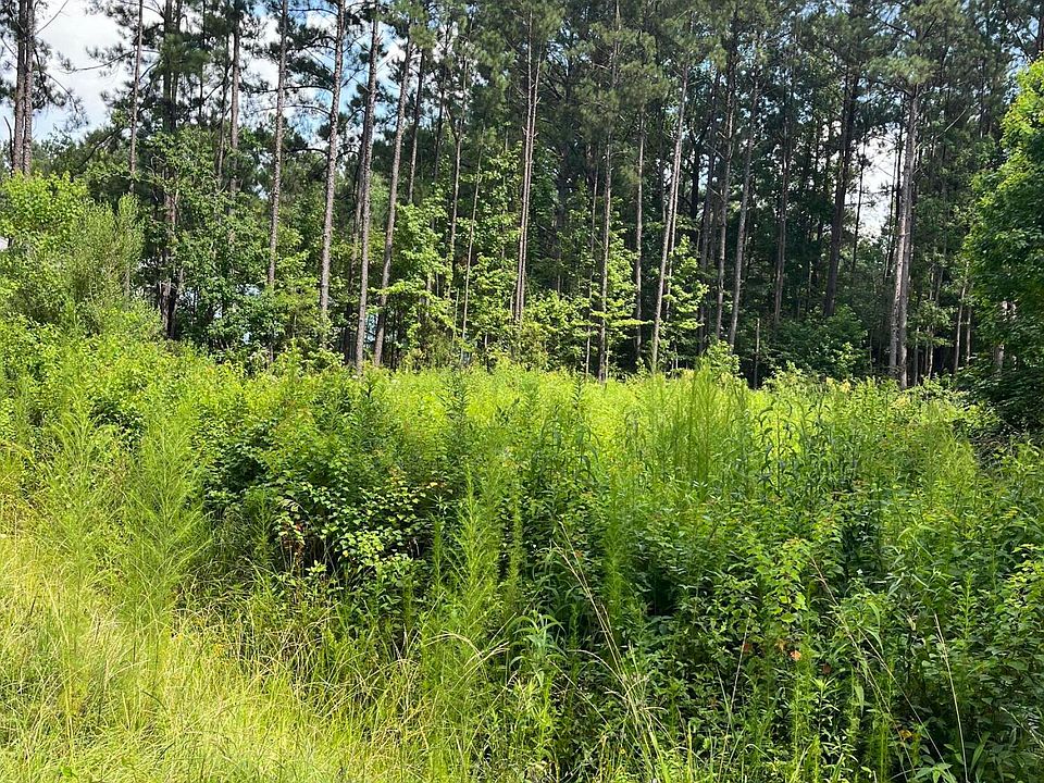2nd image of 0 Maple Rd