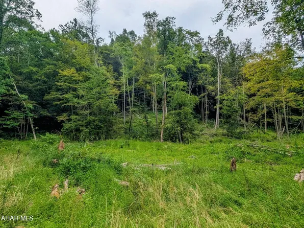 1069 Walters Hollow Rd, Imler, PA 16655