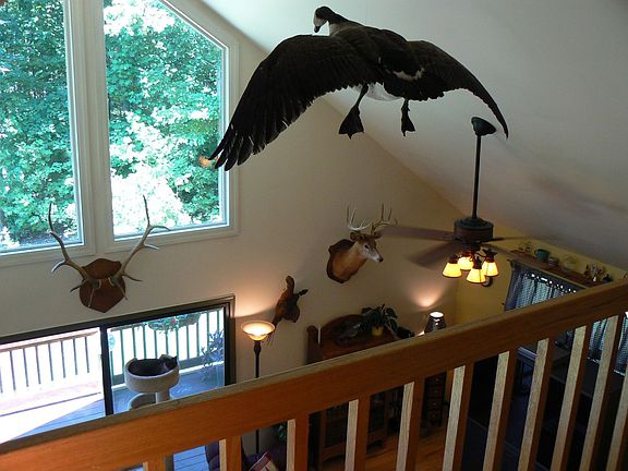 Overlooking Greatroom