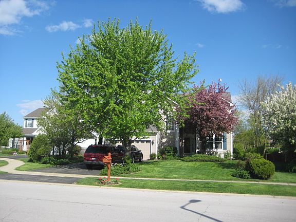 2nd image of 891 Meadowridge Dr