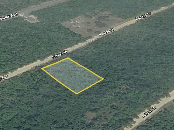 0 Papaya Dr, Marianna, FL 32448
