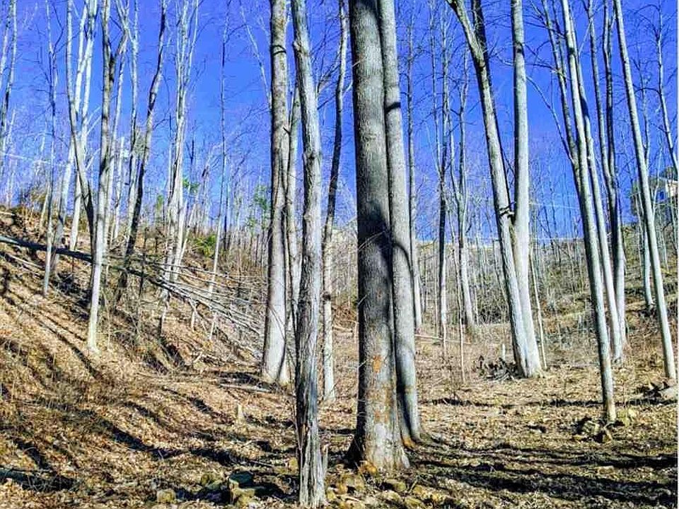1st image of 21 Deer Path Ln Lot 21