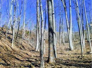 21 Deer Path Ln LOT 21, Gatlinburg, TN 37738